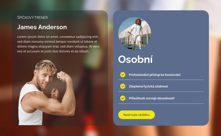 Hra, sada, zápas Šablona webové stránky