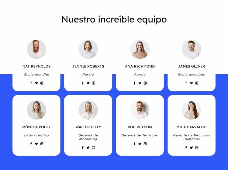 Equipo de la empresa de techado Diseño de páginas web