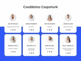 Tetőfedő Cég Csapata - HTML Oldalsablon