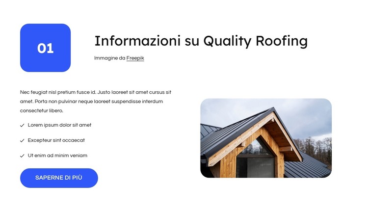 Informazioni sulla ditta di coperture Modello HTML