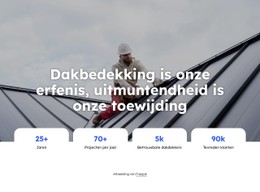 Sjabloondemo Voor Dakreparatiebedrijf