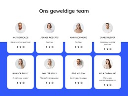 Dakbedekkingsbedrijf Team