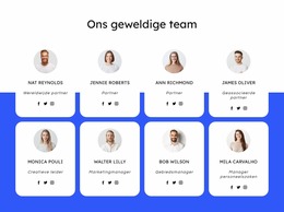 Dakbedekkingsbedrijf Team