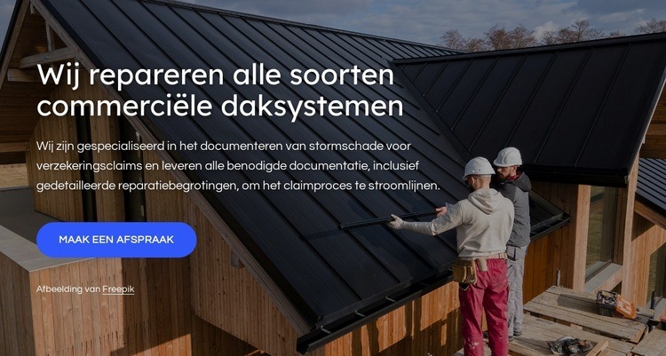 Dakreparaties Sjabloon