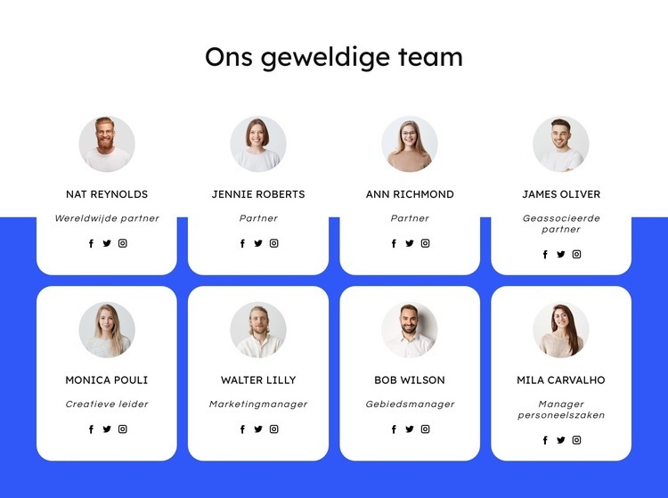 Dakbedekkingsbedrijf team Sjabloon