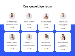 Dakbedekkingsbedrijf Team - Beste Gratis WordPress-Thema