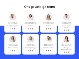 Dakbedekkingsbedrijf Team - Responsieve Websitesjabloon