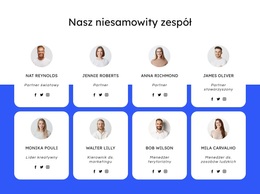 Zespół Firmy Dekarskiej - Najlepszy Darmowy Motyw WordPress