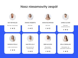 Zespół Firmy Dekarskiej Szablon CSS