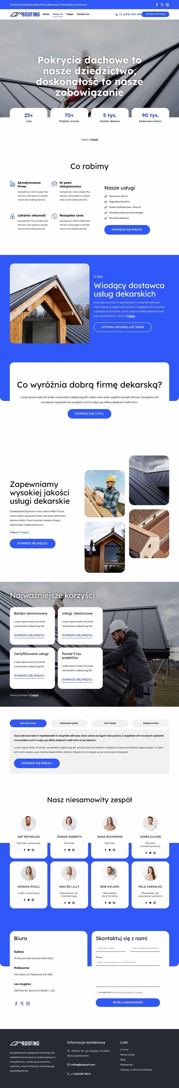 Wymiana i naprawa dachu Szablon