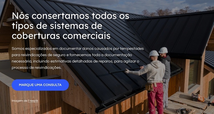 Reparos de telhados Modelo de site