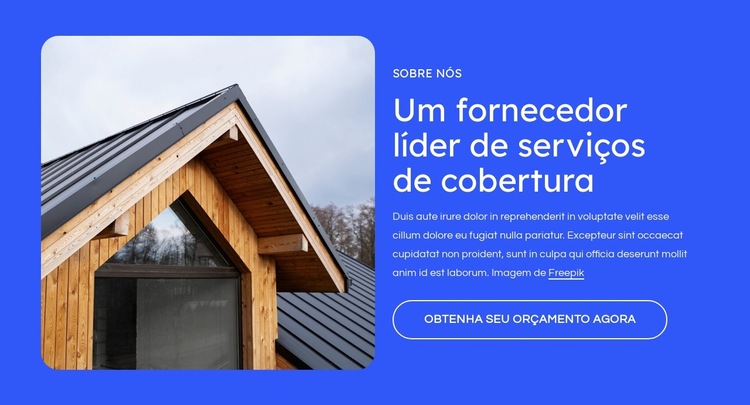 Prestador de serviços de cobertura Modelo de site
