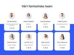 Takföretagsteam – Responsiv Webbdesign