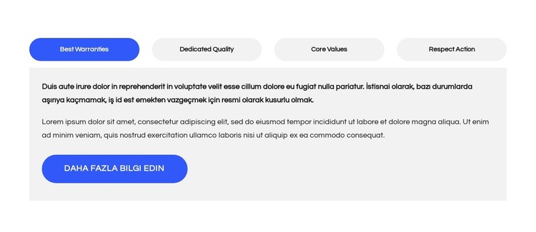 Çatı kaplama şirketinin faydaları CSS Şablonu
