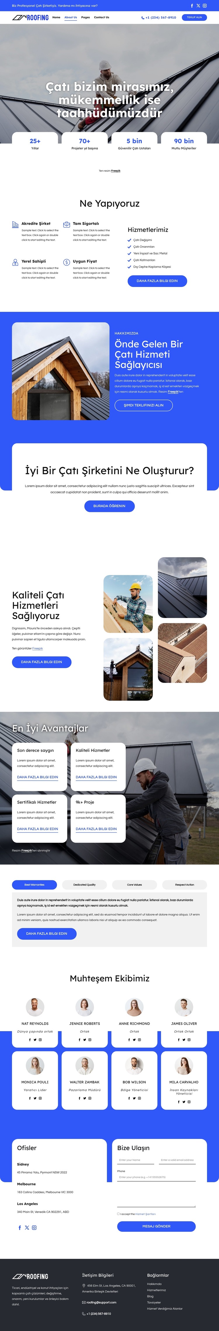 Çatı değişimi ve onarımı Web Sitesi Şablonu