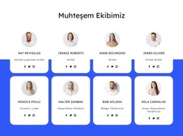 Çatı Kaplama Şirketi Ekibi - Duyarlı Web Sitesi Tasarımı