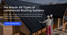 Roof Repairs