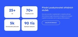 Nejlepší Motiv WordPress Pro Přední Poskytovatel Střešních Služeb