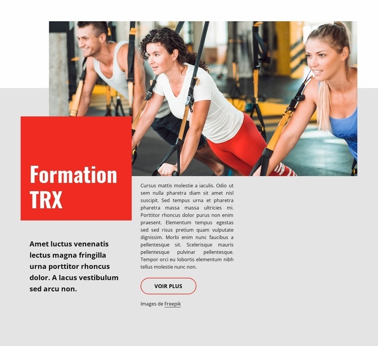 Formation TRX Maquette de site Web