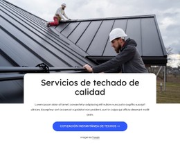 Servicios De Techado De Calidad