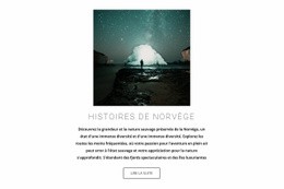 Modèle De Page De Destination Pour Visiter La Norvège