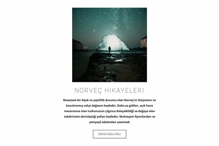 Norveç'i ziyaret edin Web Sitesi Mockup'ı