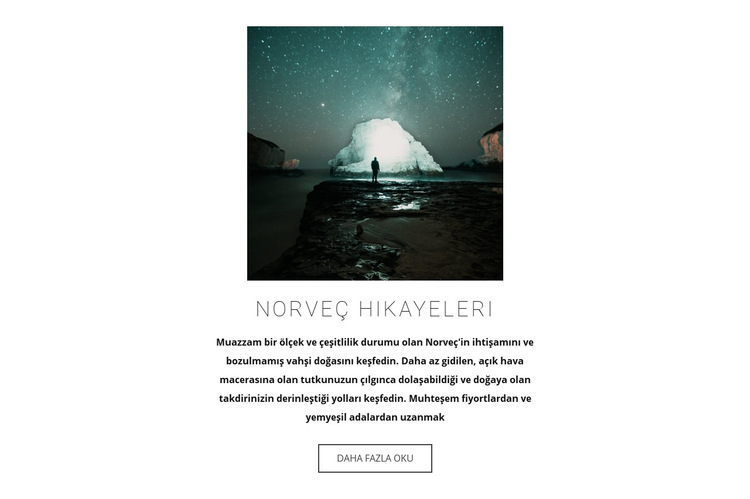 Norveç'i ziyaret edin Web Sitesi Şablonu