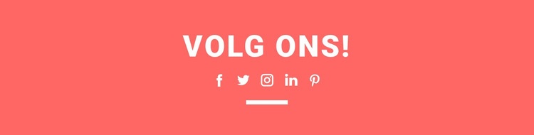 Vind ons op social media CSS-sjabloon