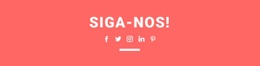 Tema WordPress Impressionante Para Encontre-Nos Nas Redes Sociais