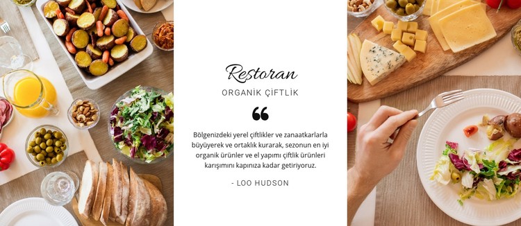 Restoran sağlıklı menü CSS Şablonu