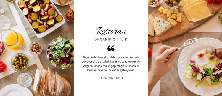 Restoran sağlıklı menü Html Web Sitesi Oluşturucu