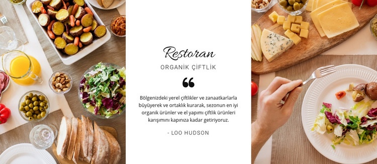 Restoran sağlıklı menü Bir Sayfa Şablonu