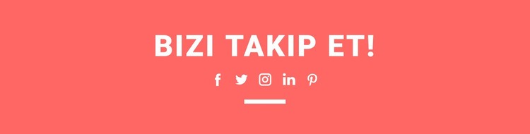 Bizi sosyal medyada bulun Web Sitesi Şablonu