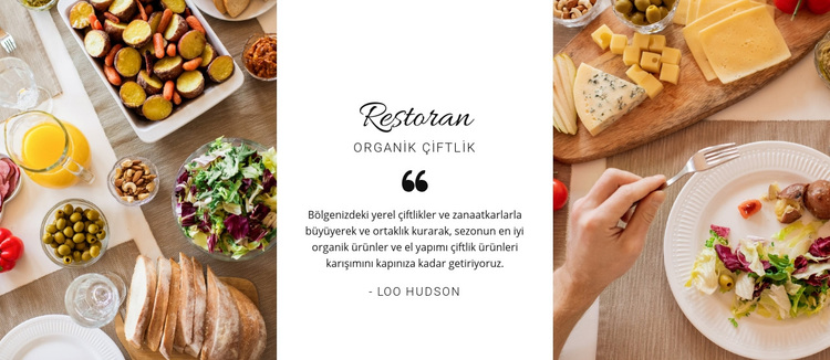 Restoran sağlıklı menü WordPress Teması