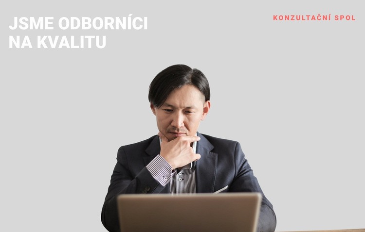 Profesionální odborník na podnikání Šablona HTML