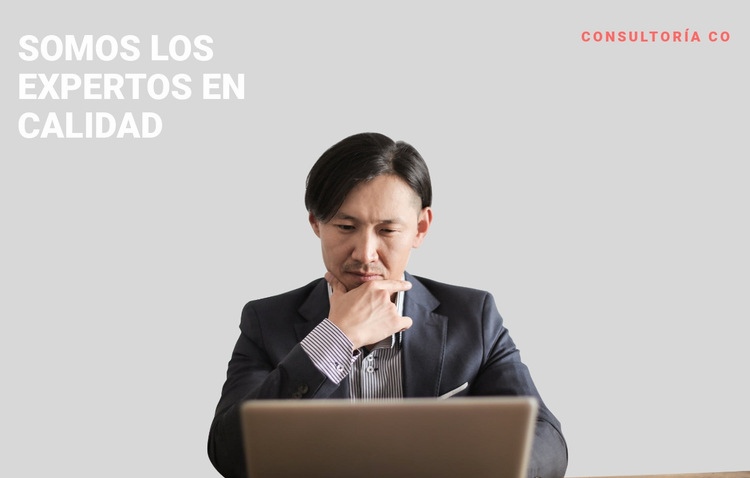 Experto profesional en negocios Plantilla HTML