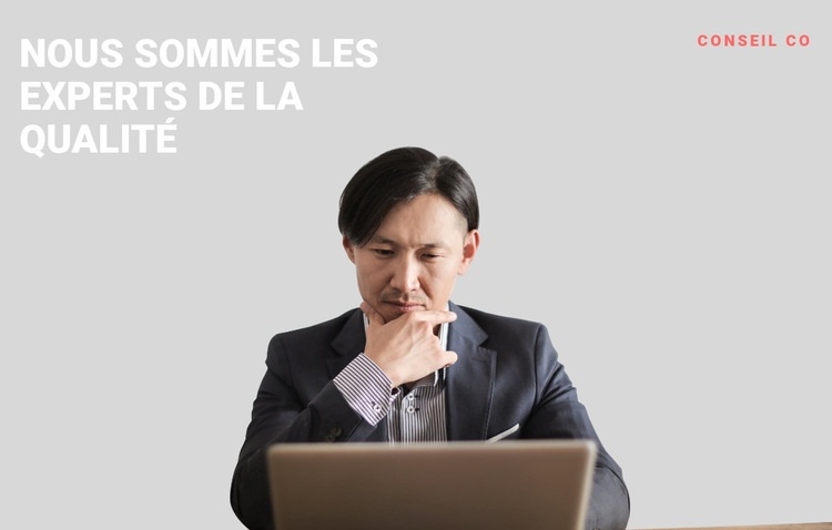 Expert professionnel des affaires Conception de site Web