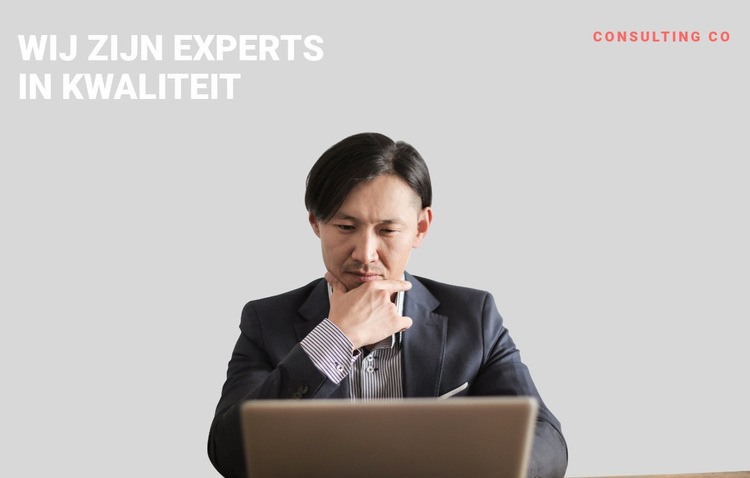 Zakelijke professionele expert HTML-sjabloon