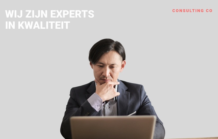 Zakelijke professionele expert Website Builder-sjablonen