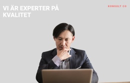 Affärsprofessionell Expert CSS-Formulärmall