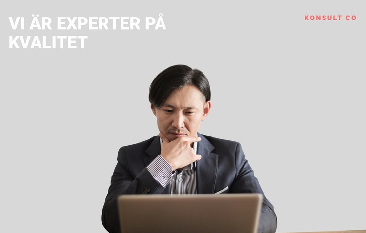 Affärsprofessionell expert Hemsidedesign