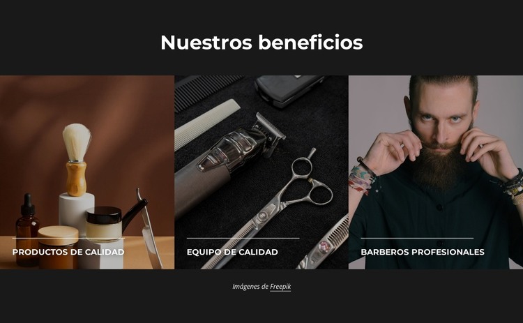Beneficios de la barbería Plantilla HTML