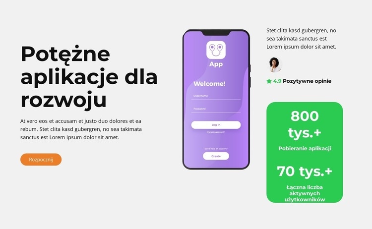 Innowacyjny rozwój aplikacji Projekt strony internetowej