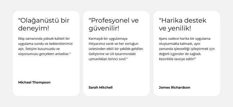 Kusursuz Dijital Deneyim Bir Sayfa Şablonu