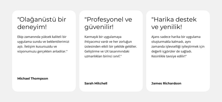 Kusursuz Dijital Deneyim WordPress Teması