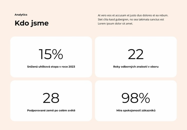 Výkonné aplikace Šablona webové stránky