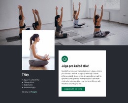 Ashtanga Jóga – Téma WordPress