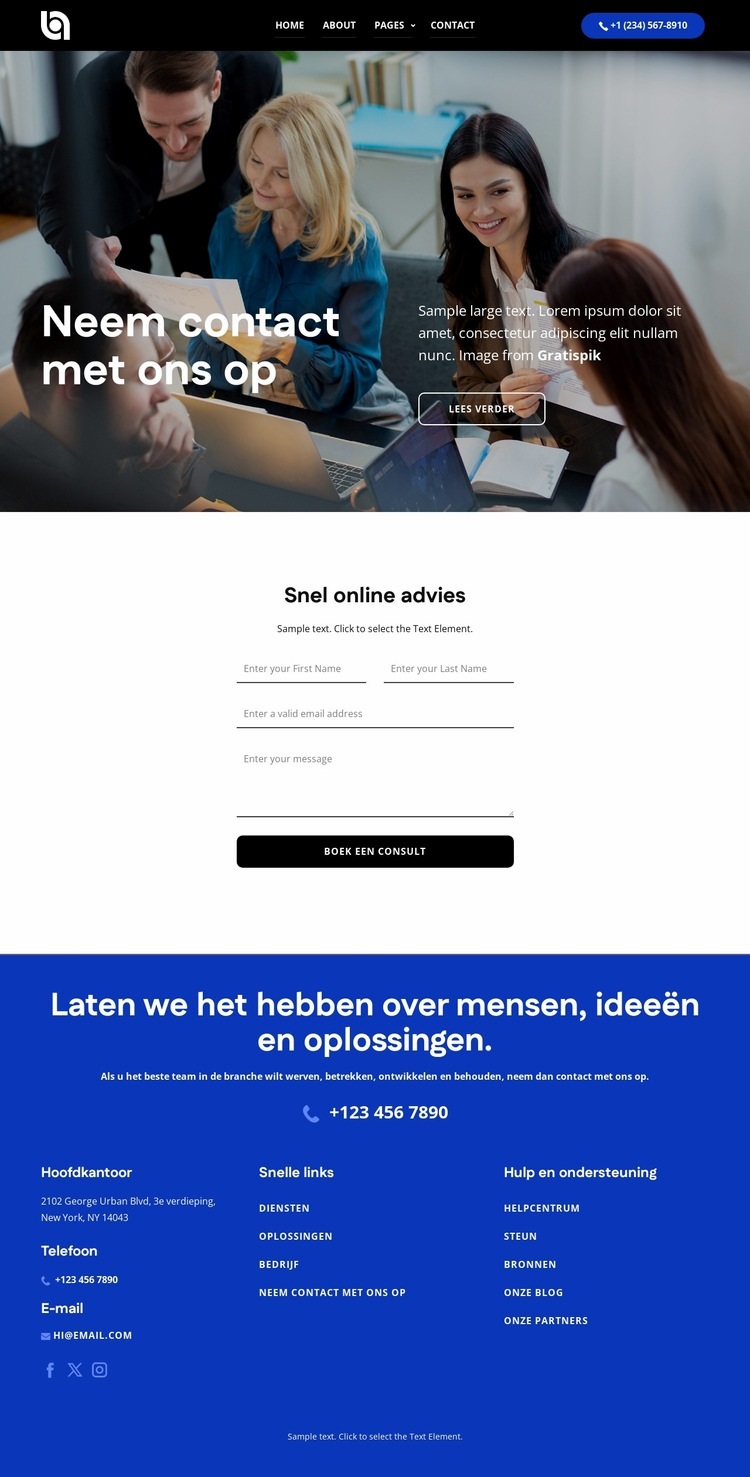Snel online consult Website ontwerp