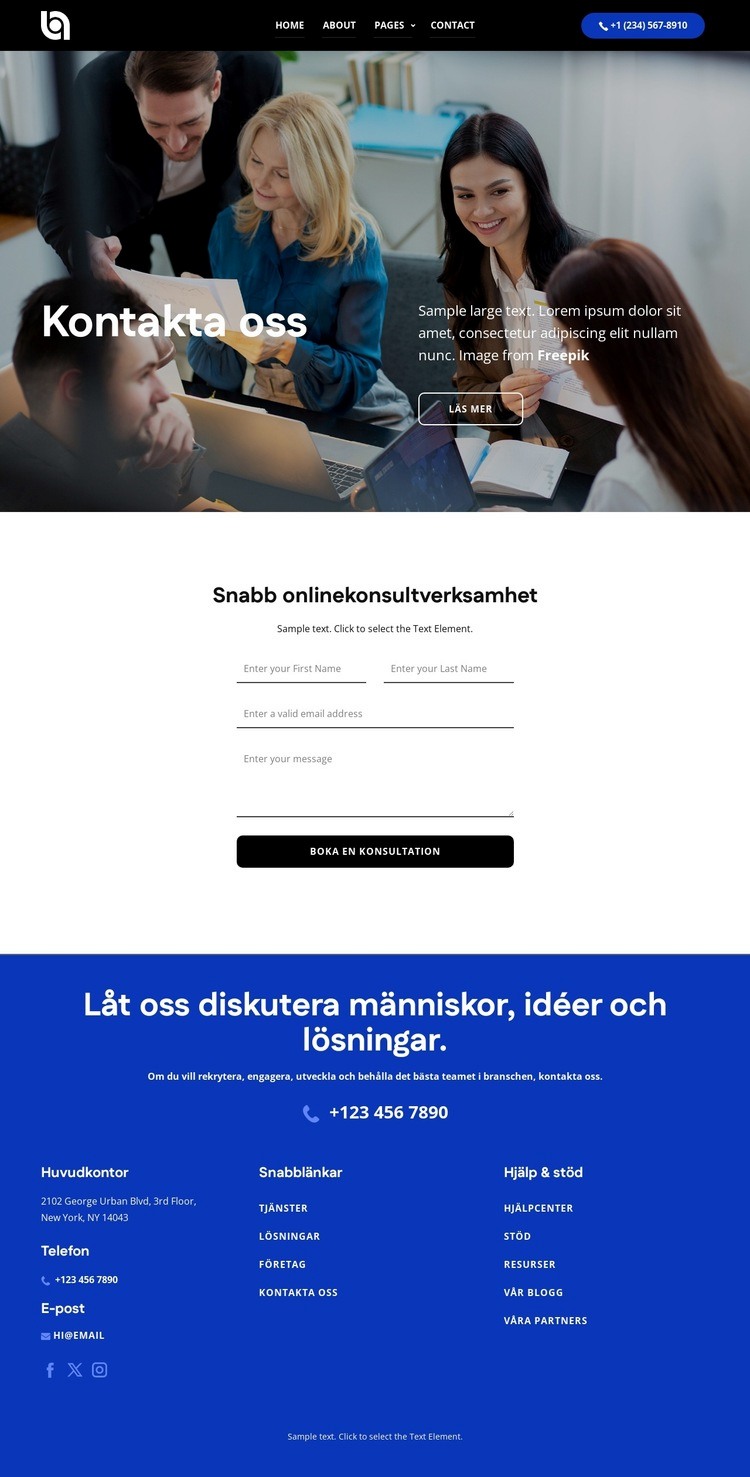 Snabb onlinekonsultation Webbplats mall