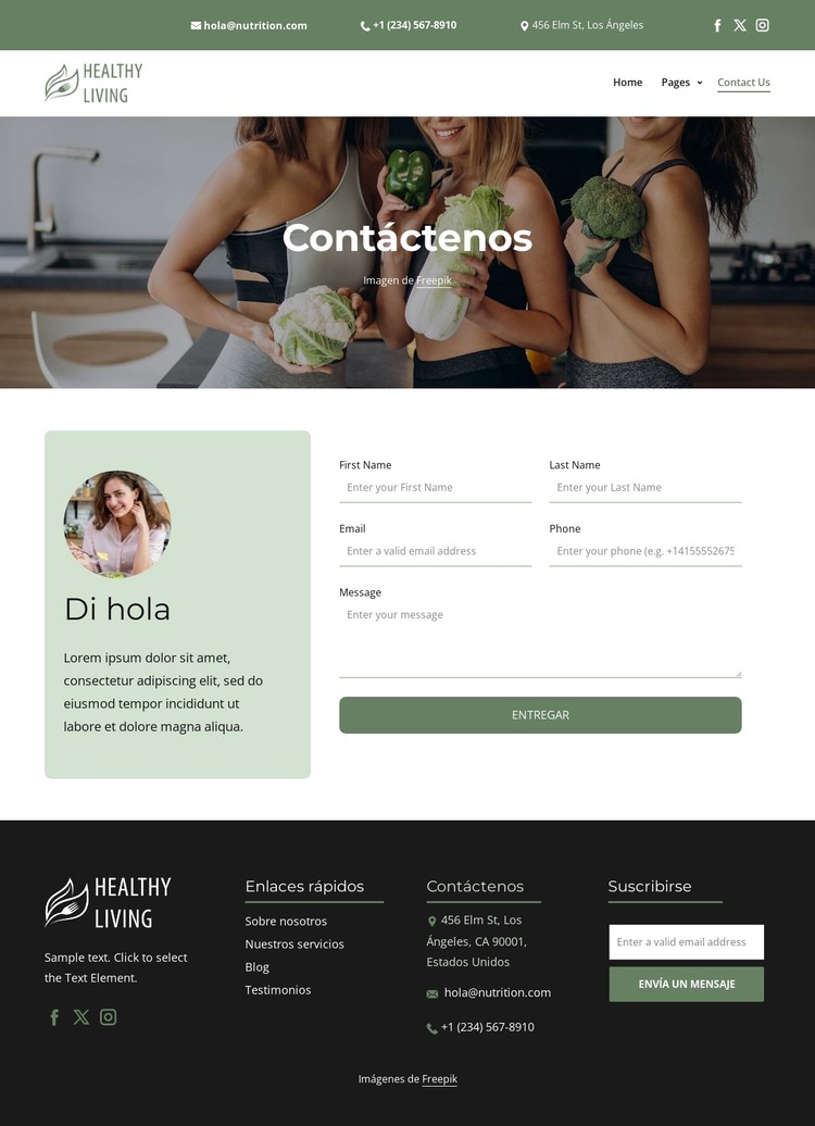 Por favor contáctenos Plantilla CSS